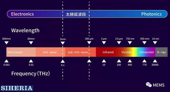 矽赫科技 以太赫茲底層技術為基，開拓智能光電新藍海